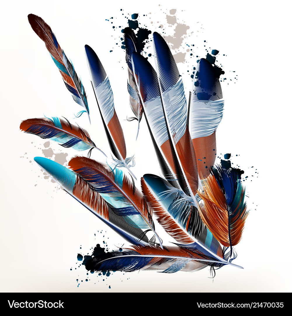 Background with feathers in realistic style Background with feathers in realistic style vector image
