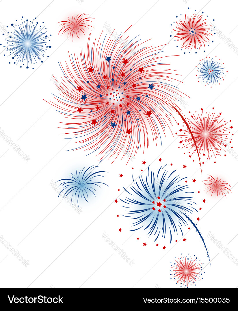 Independence Day Fireworks vector image