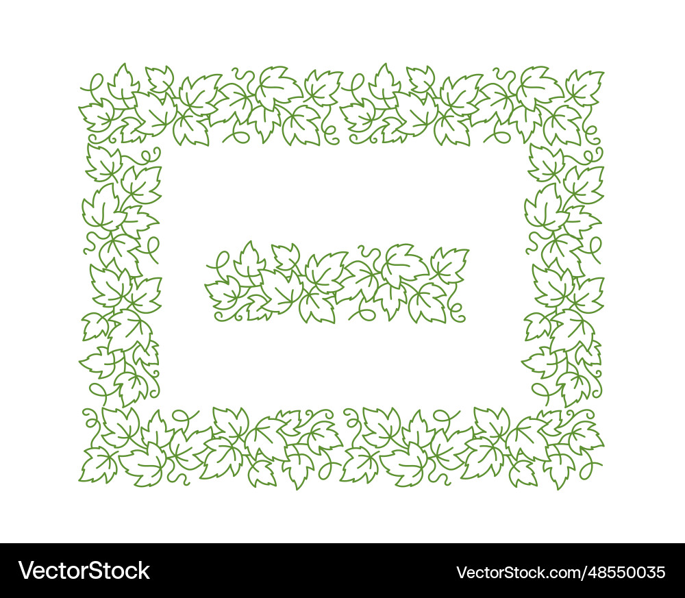 Vine rectangular frame grape leaves editable Vector Image