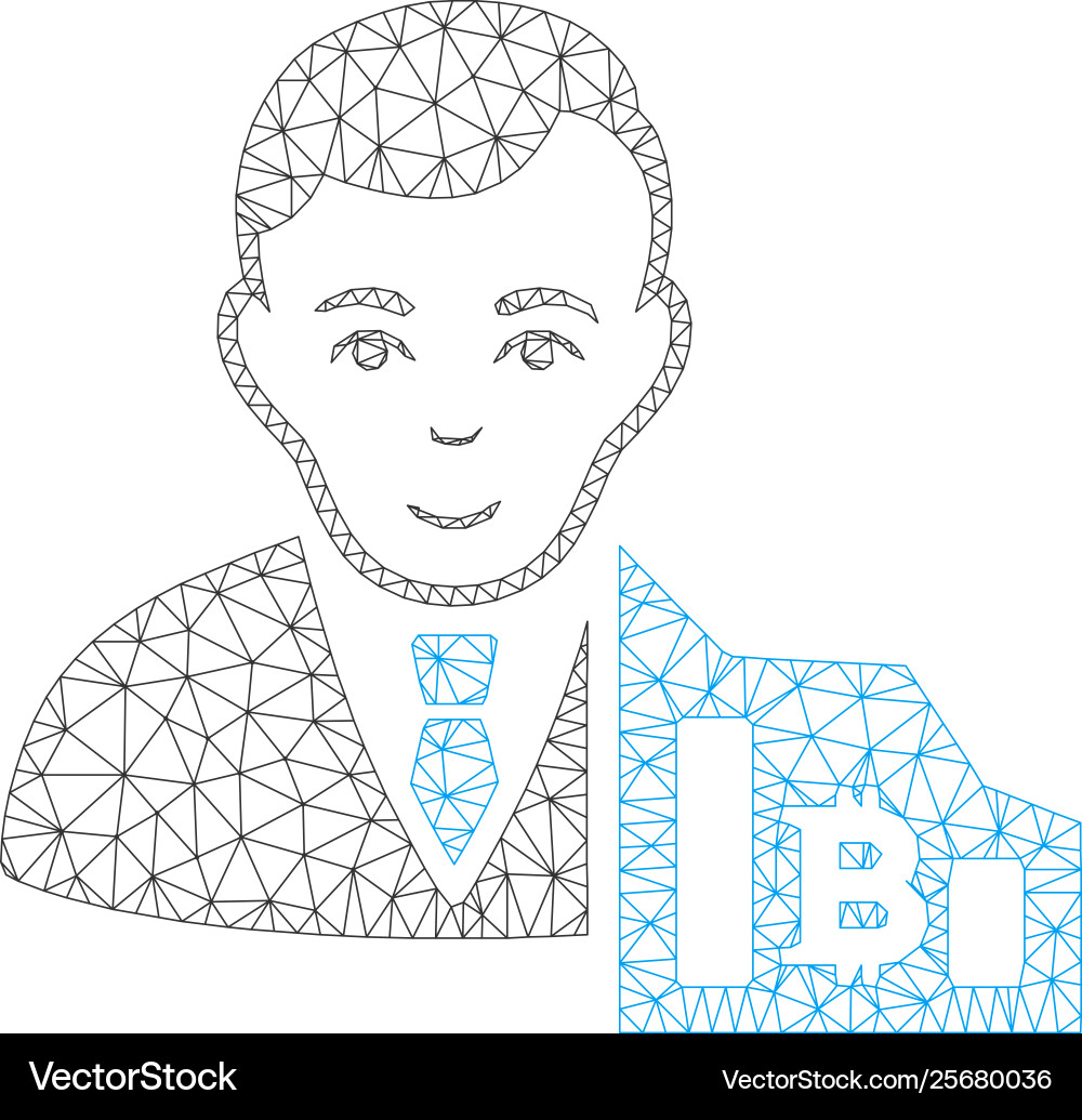 Bitcoin trader mesh 2d model Bitcoin trader mesh 2d model vector image