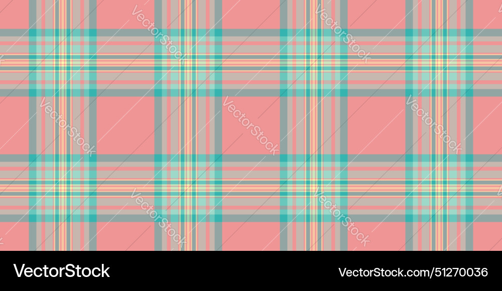 Cute pattern check background detailed texture Vector Image