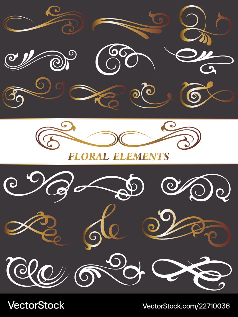 Elegant Flourish & Scroll Elements vector image