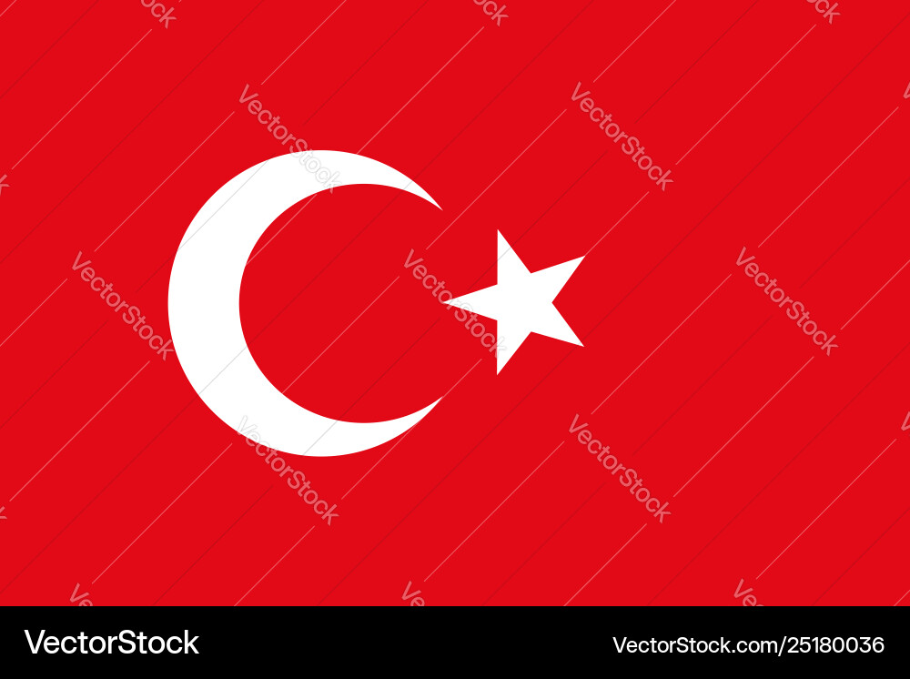 Flag rectangular shape Flag rectangular shape vector image