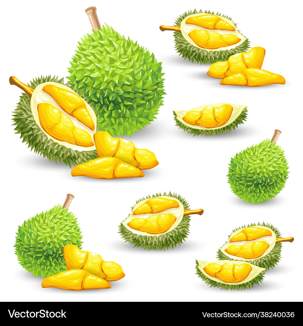 Setzen Sie Ikonen eine durische Frucht Setzen Sie Ikonen eine durische Frucht vektorbild