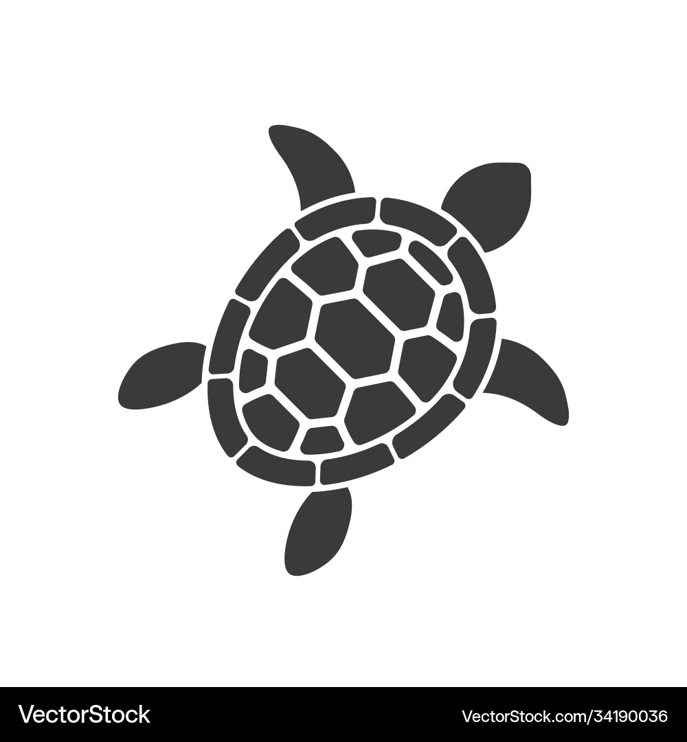 Turtle Shell Icon Set vector image