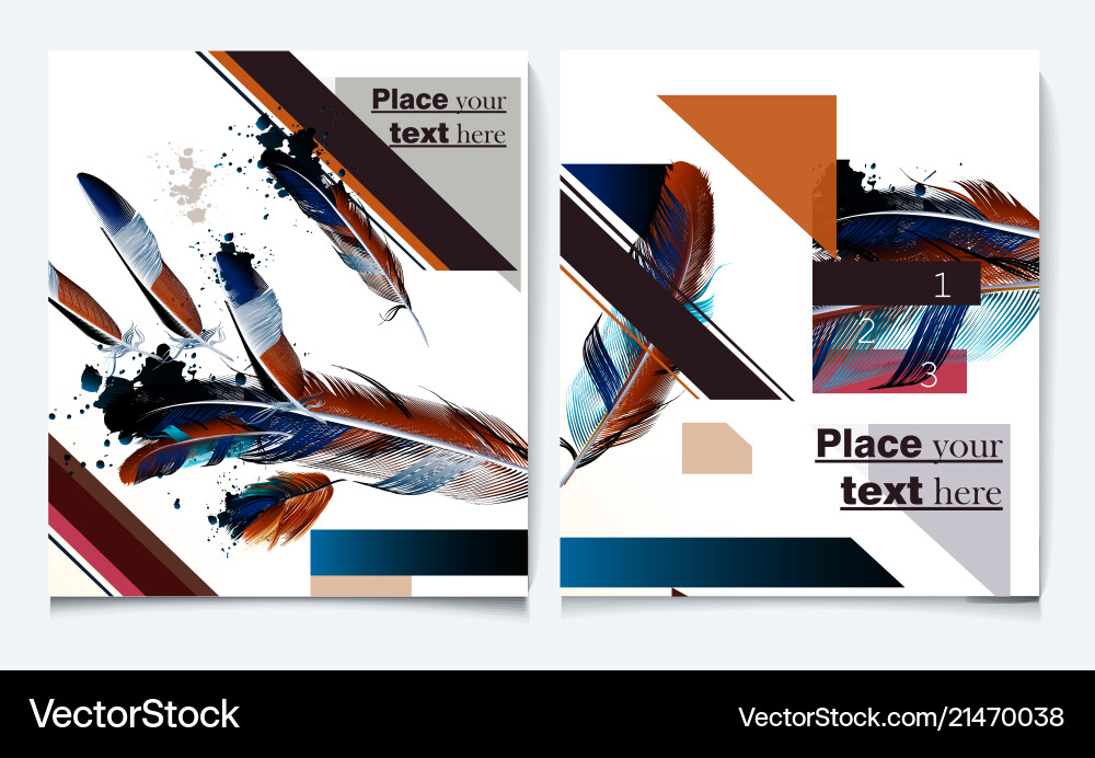 Backgrounds set with feathers in realistic style Backgrounds set with feathers in realistic style vector image