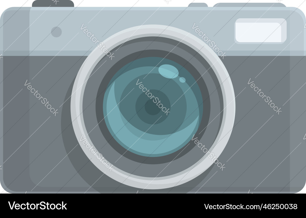 Digital Camera Icon - Shutter Button vector image