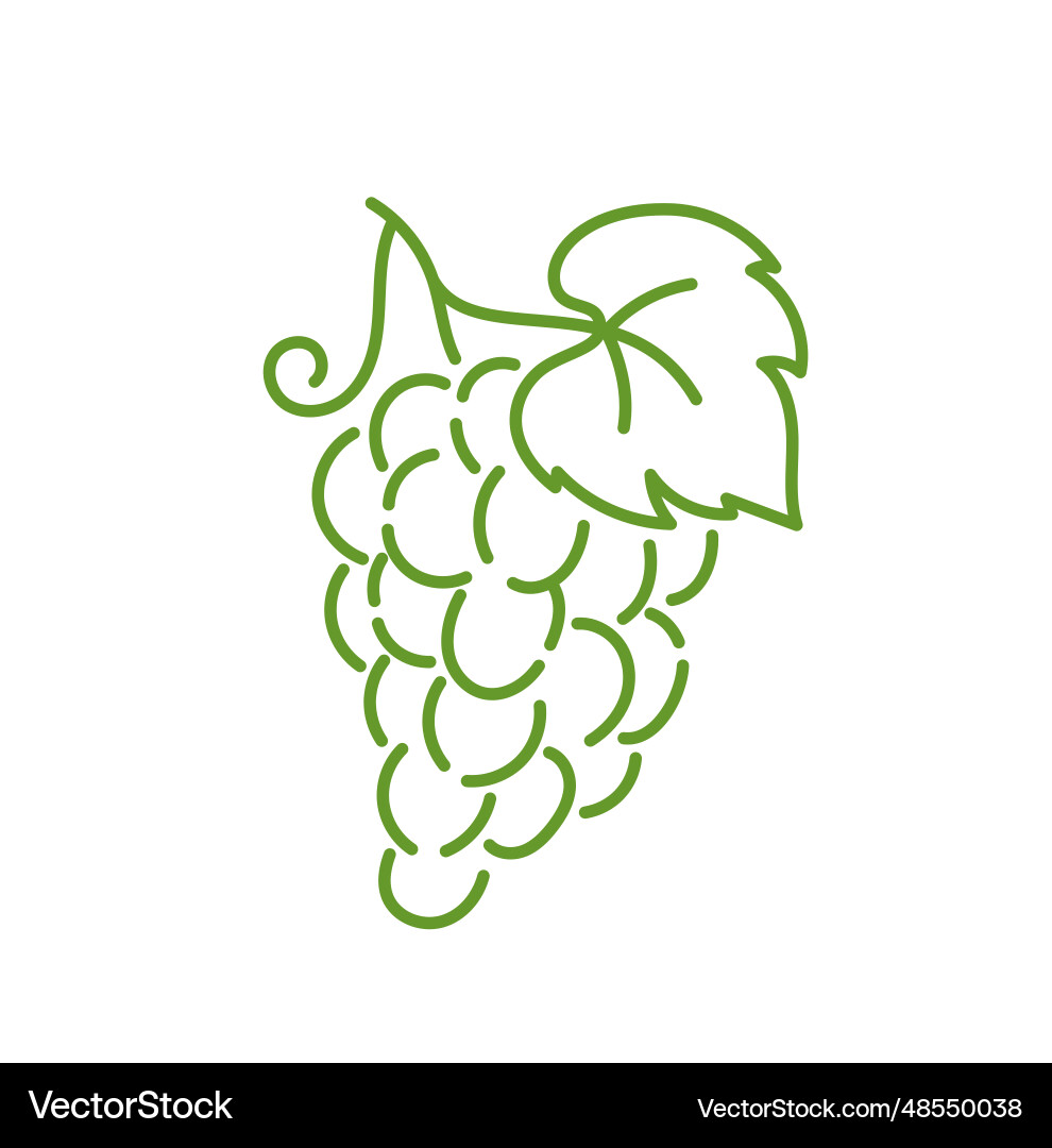 Grape design element editable outline stroke Vector Image