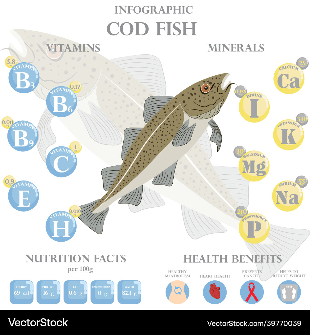 Cod Fish Nutrition Facts And Health Benefits Vector Image Cod Fish Nutrition Facts And Health Benefits Vector Image
