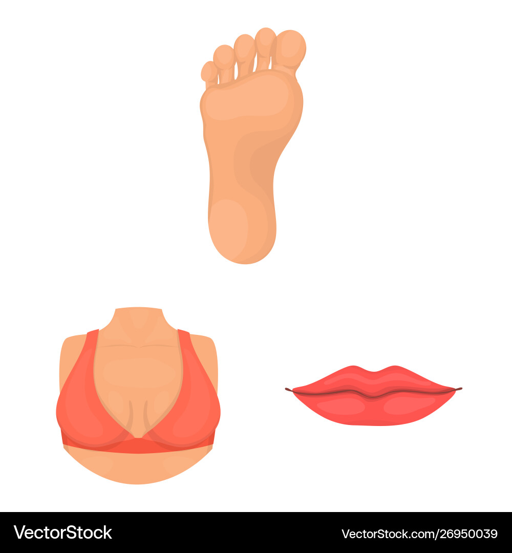 Isolated object body and part icon set Isolated object body and part icon set vector image