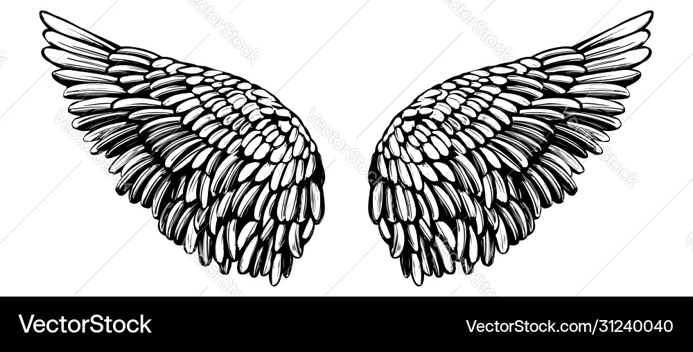 Angel wings bird collection cartoon hand Angel wings bird collection cartoon hand vector image