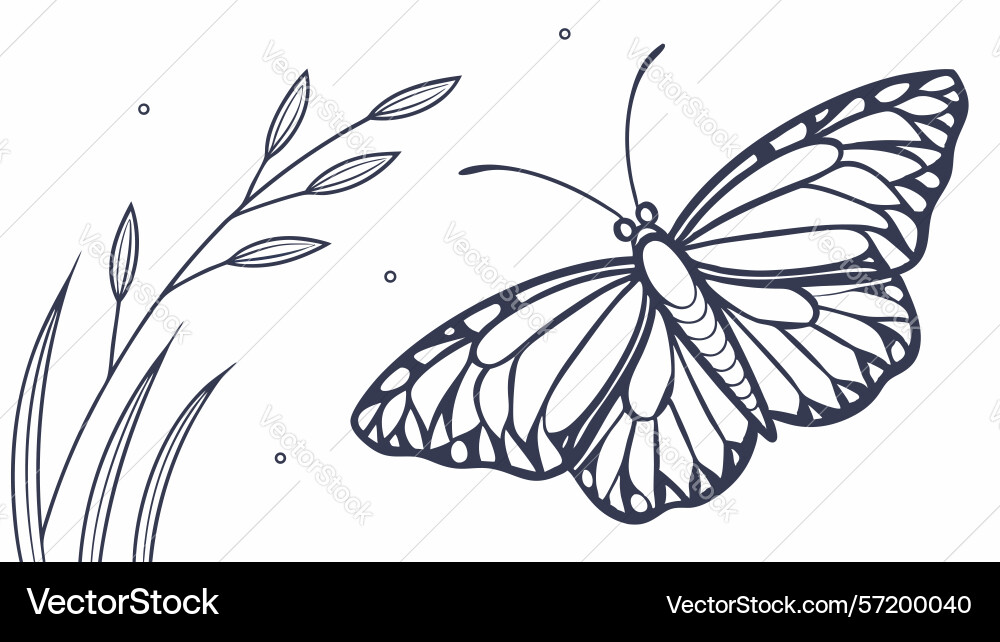 Graceful butterfly with botanical elements line Vector Image