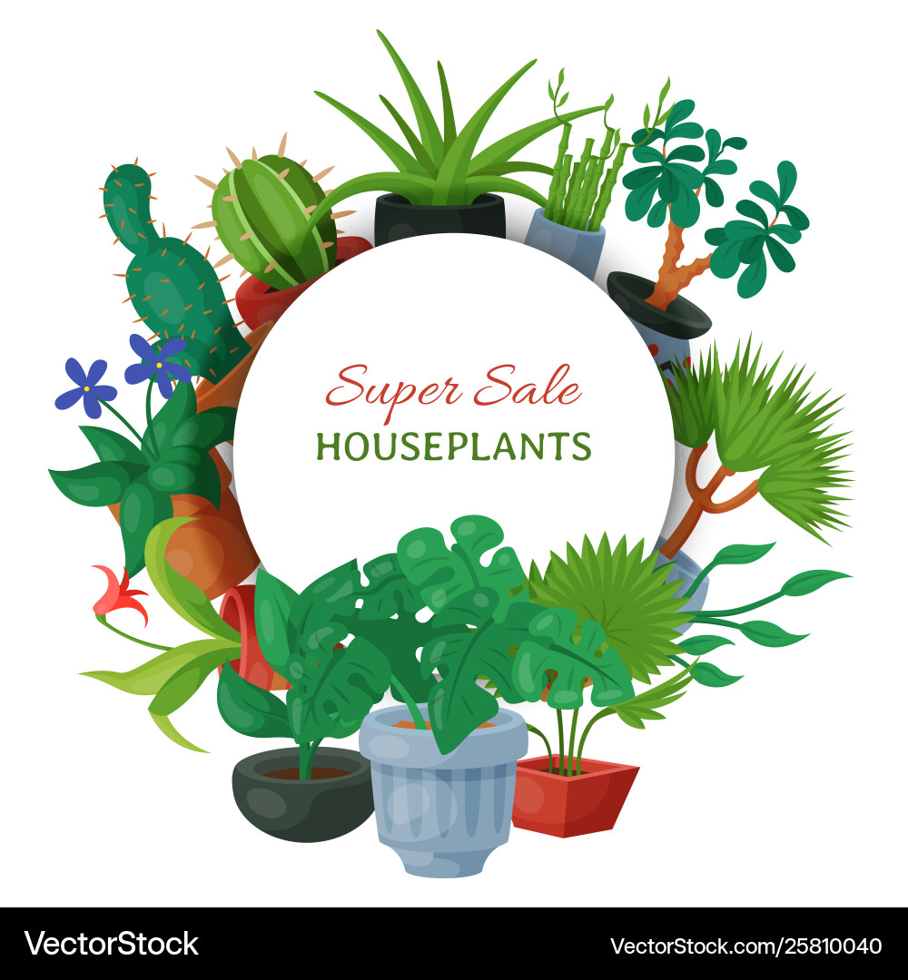 House flowers indoor floriculture banner House flowers indoor floriculture banner vector image