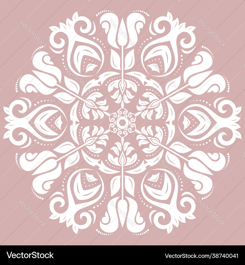 Classic fine pattern with various Vector Image