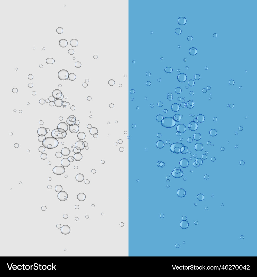 Bubbles fizz floating upward background Vector Image