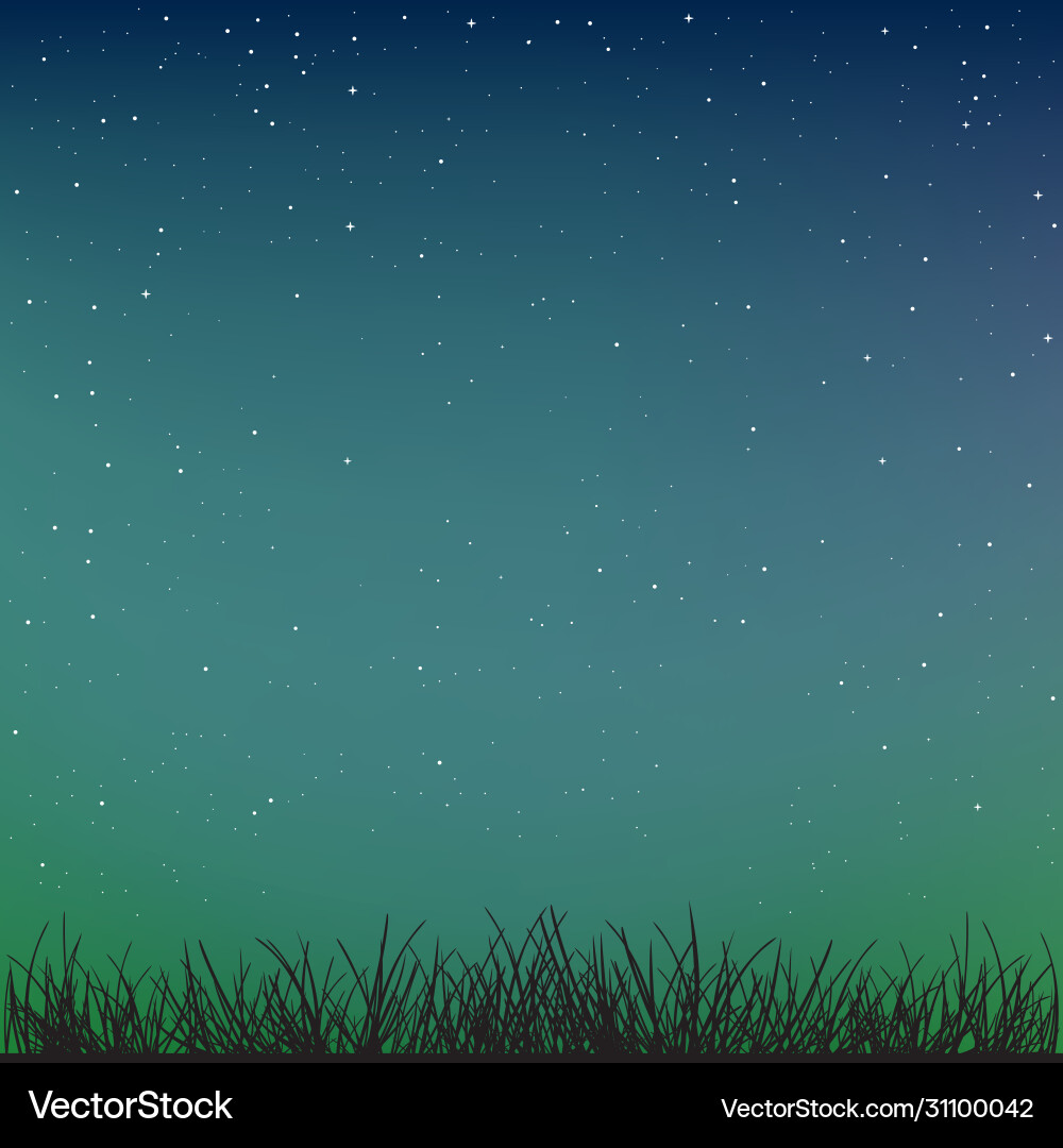 Grass Silhouette auf Nacht Sternenhimmel Grass Silhouette auf Nacht Sternenhimmel vektorbild