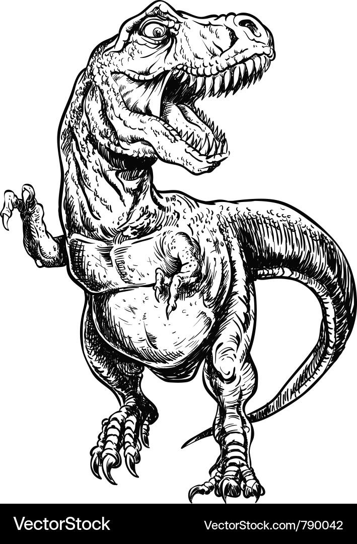 Tyrannosaurus Rex Linework Vector Image