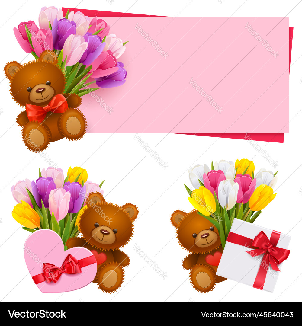 Tulip bouquets with bears vector image