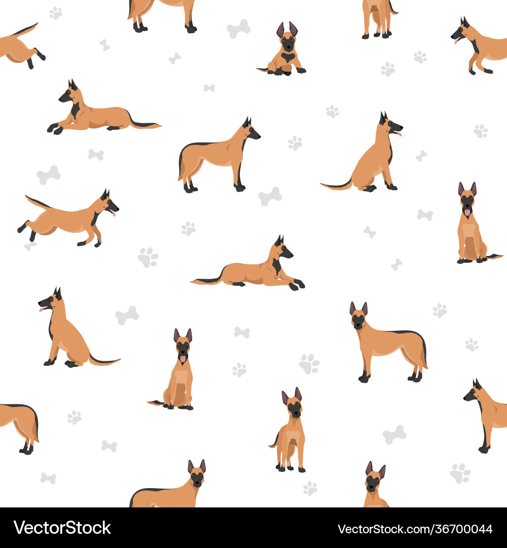 Belgian Malinois Seamless Pattern Vector Image