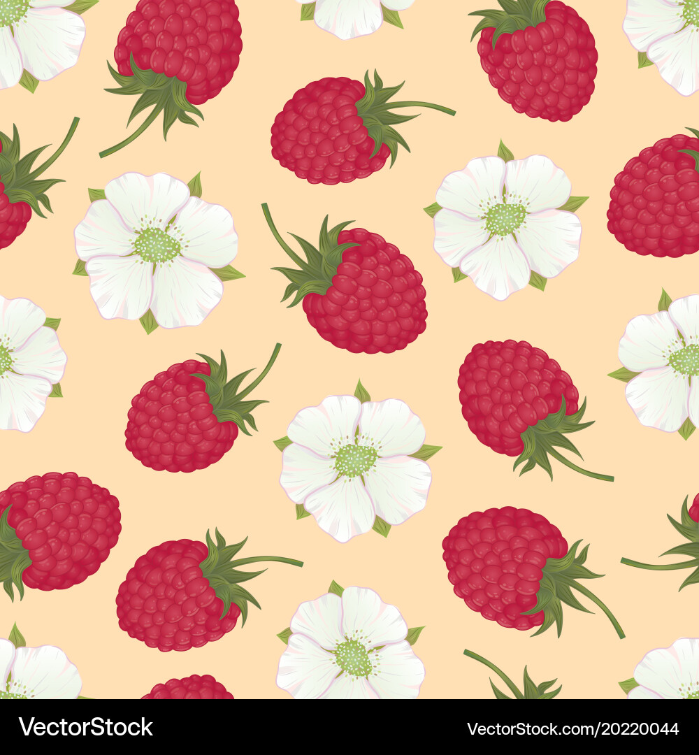 Raspberry collect-07 Vector Image