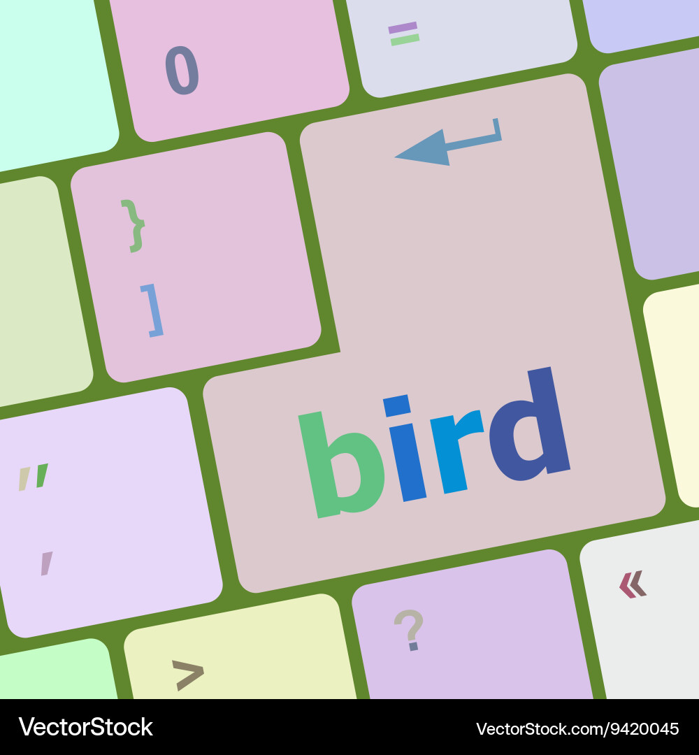 Button keyboard key keypad with bird word Vector Image