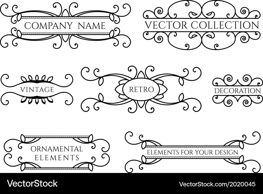Calligraphic design elements vector image