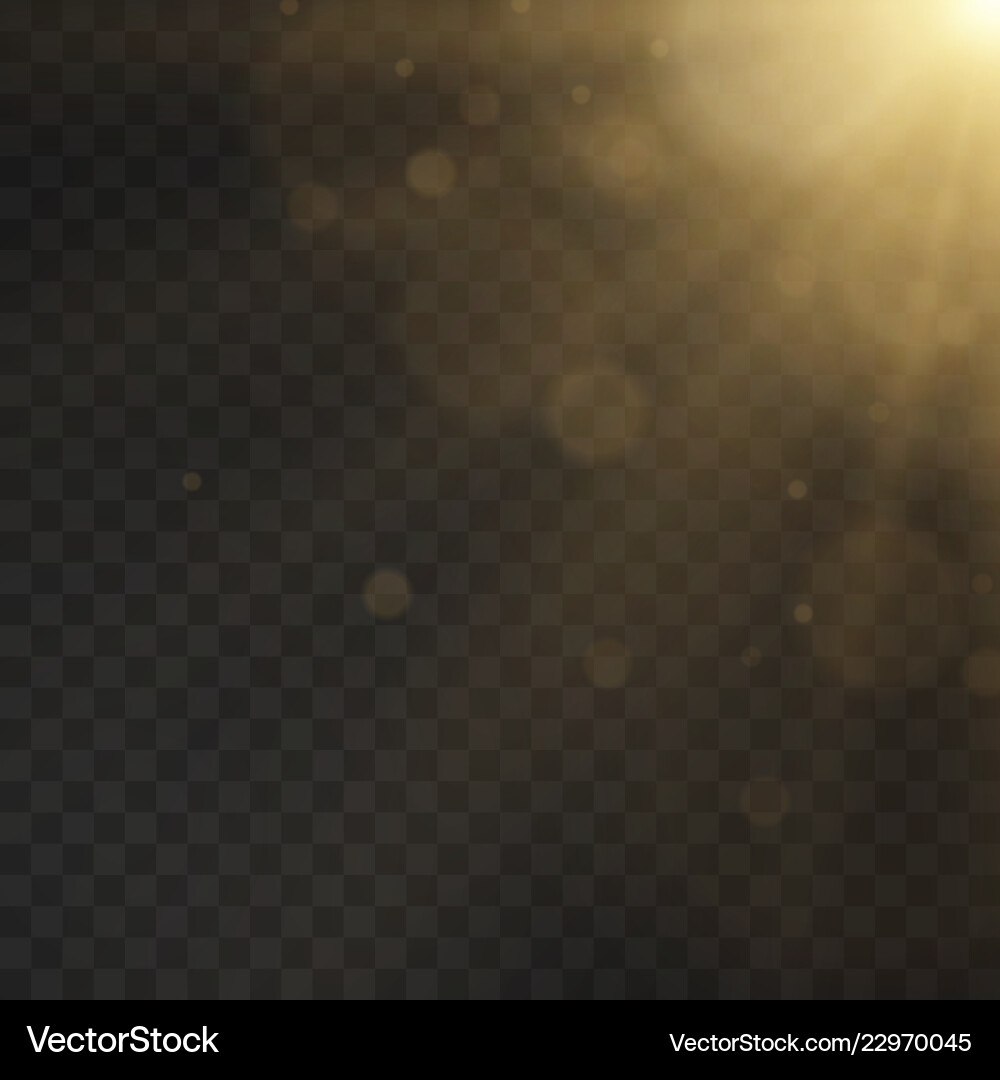 Dynamischer Lens Flare-Effekt Vektorbild