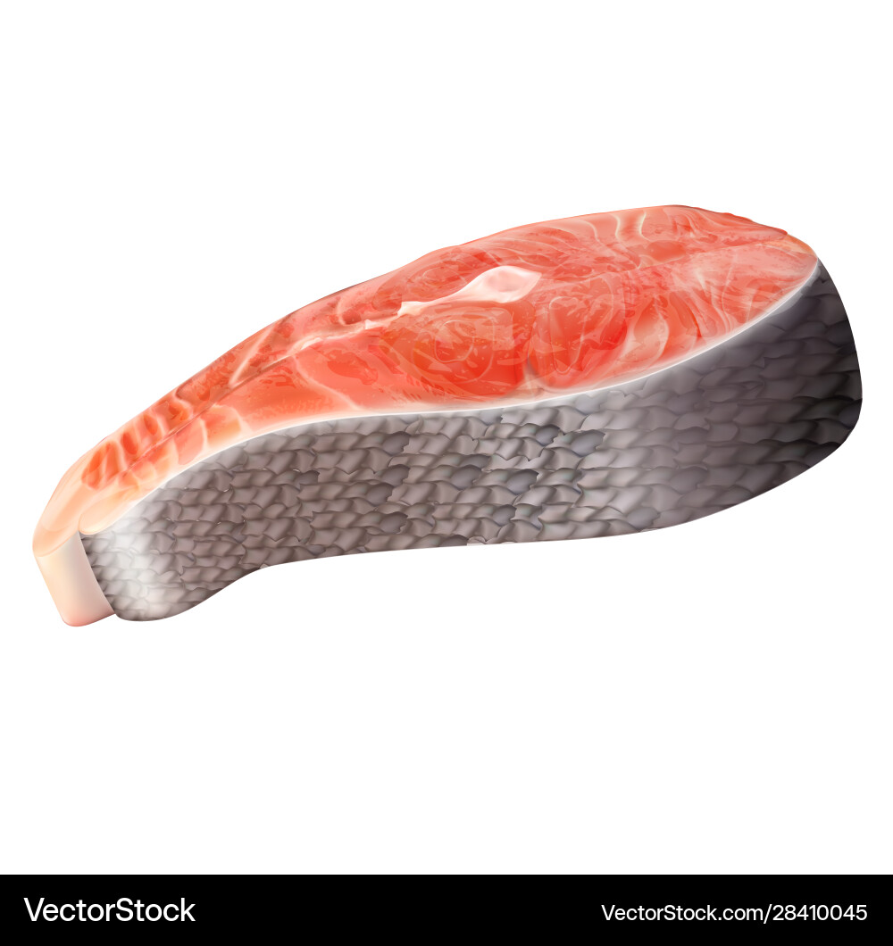 Salmon steak vector image