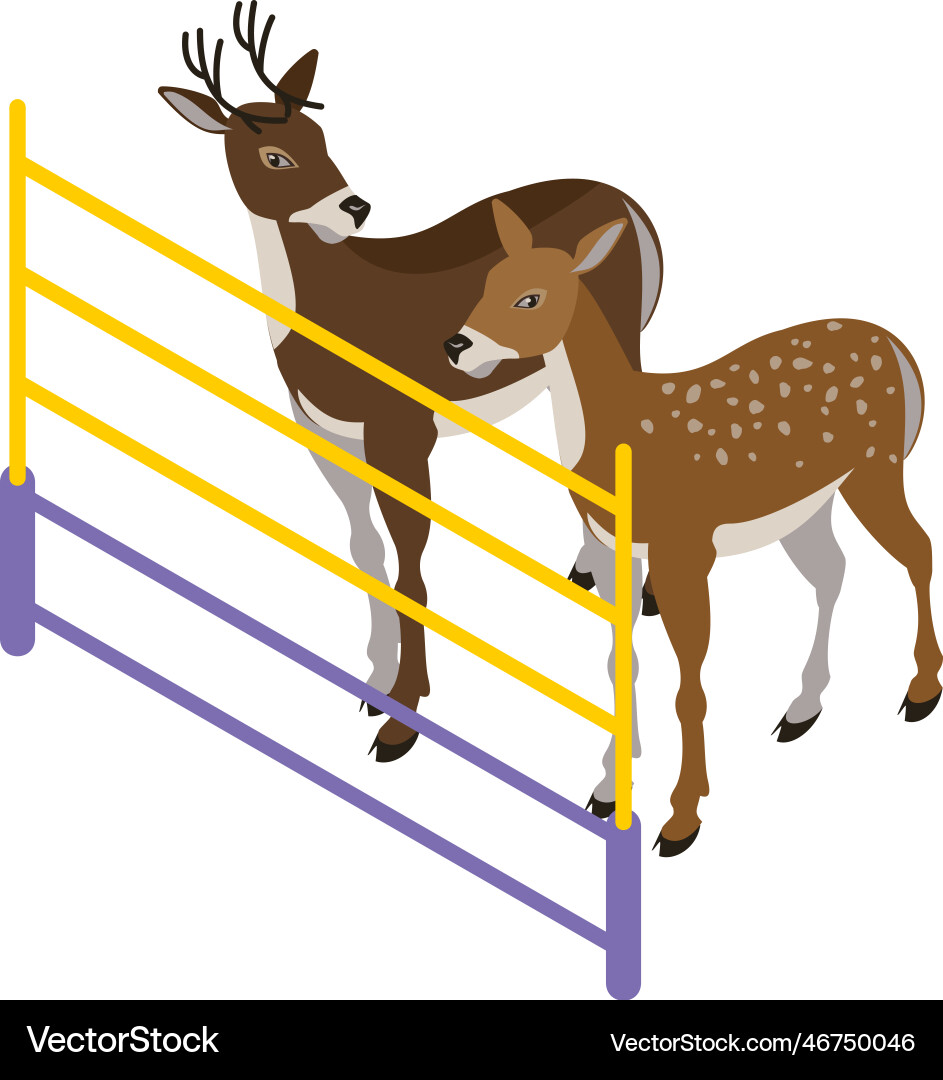 Deer zoo vector image