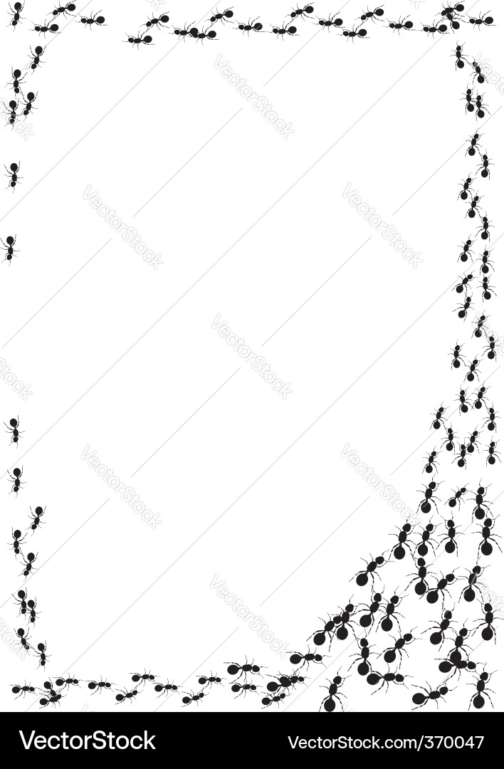 Ant Border Frame vector image