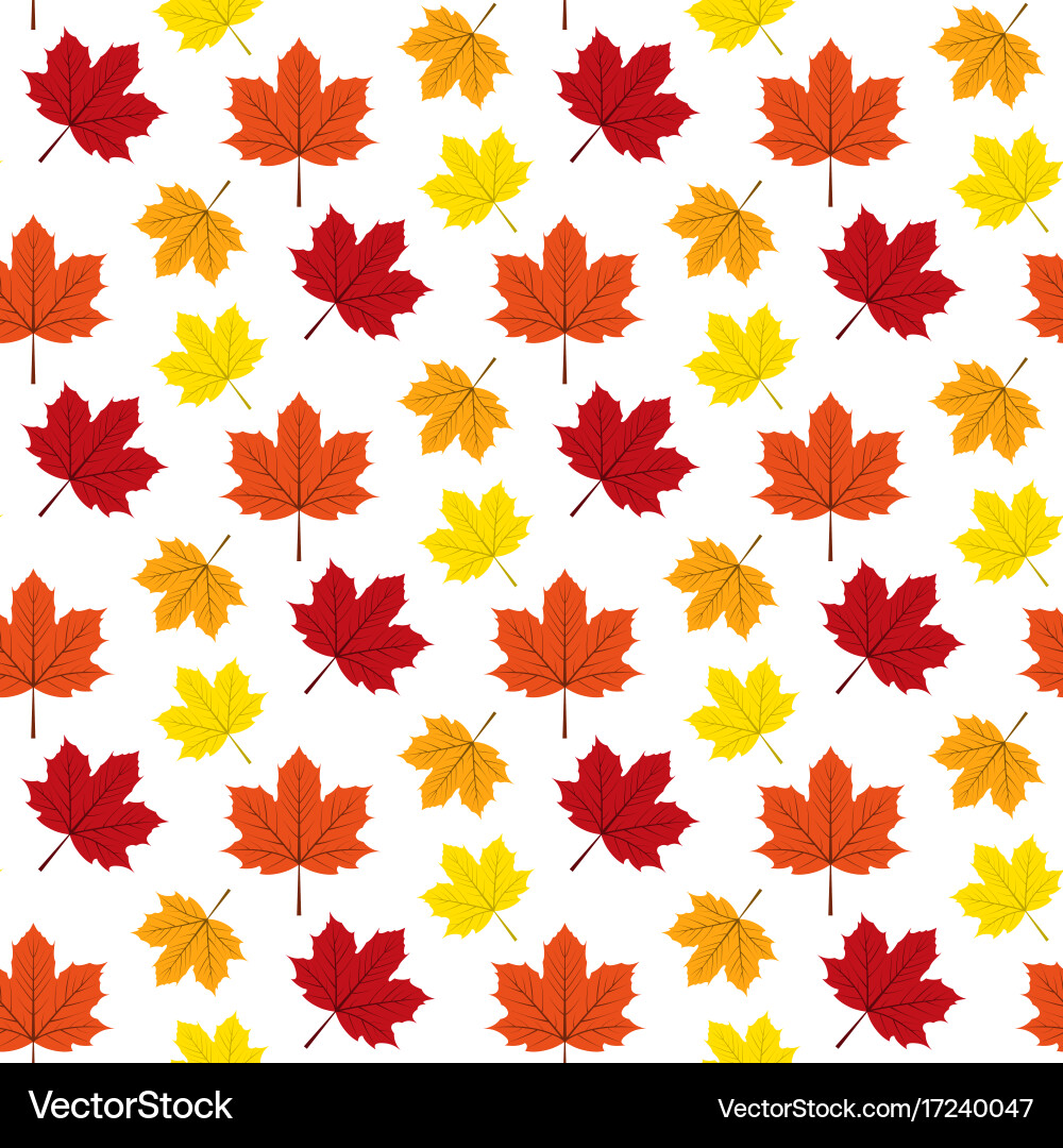 Autumn maple leafs pattern vector image