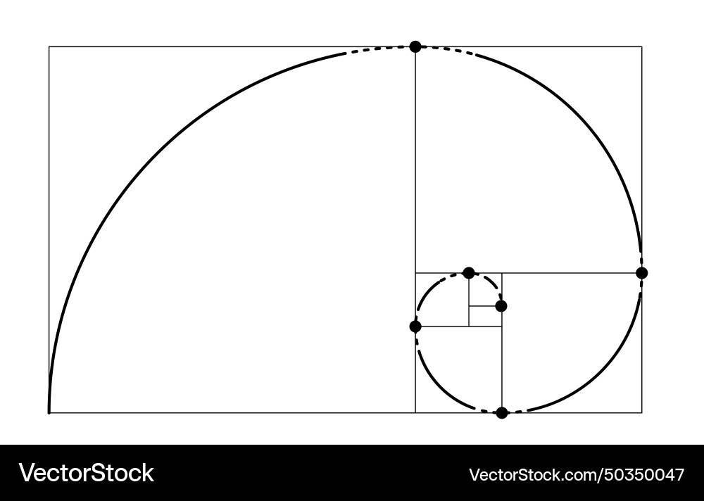 Golden ratio fibonacci ideal proportion sections Golden ratio fibonacci ideal proportion sections vector image