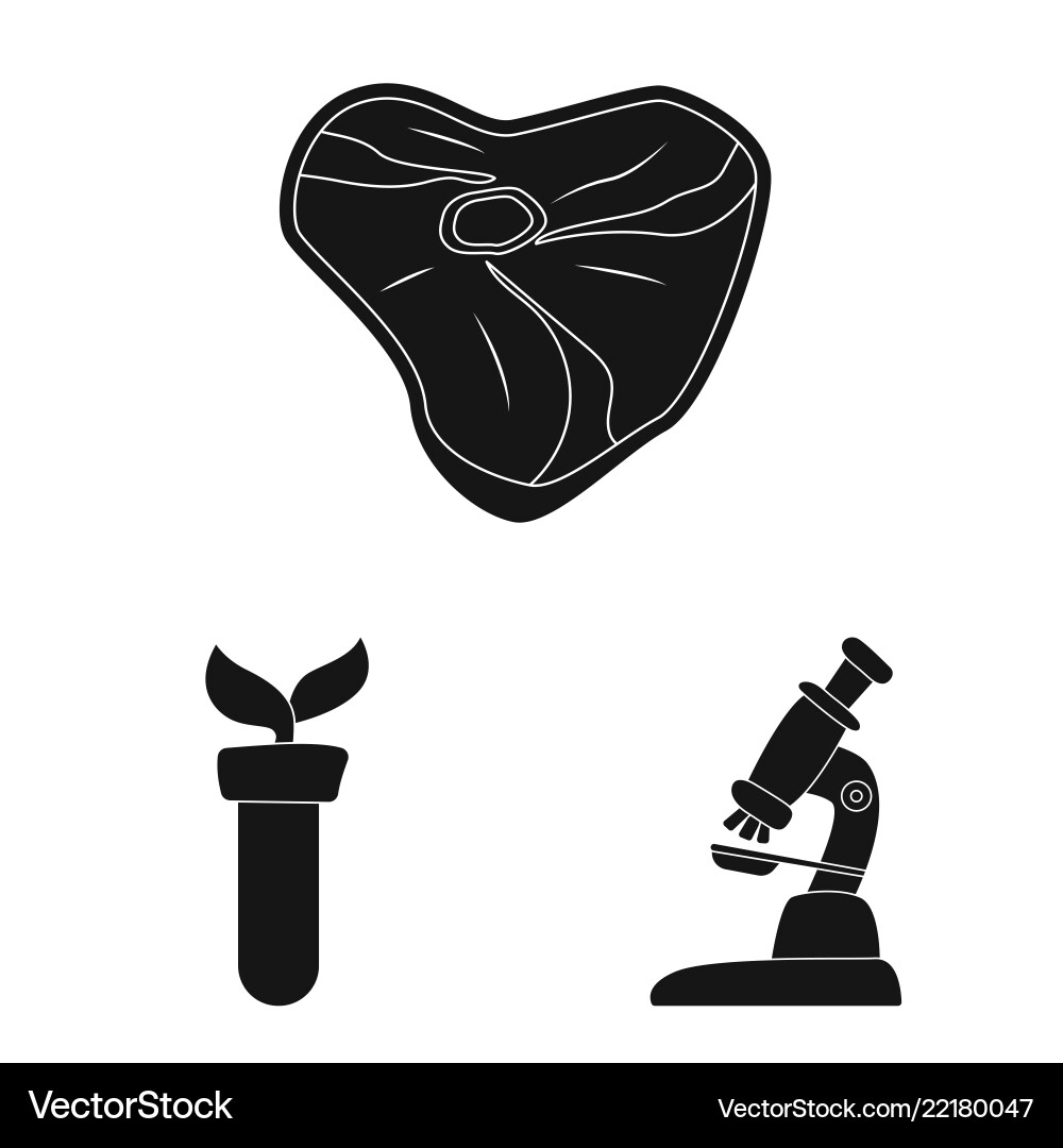 Isolated object of and icon set s Vector Image