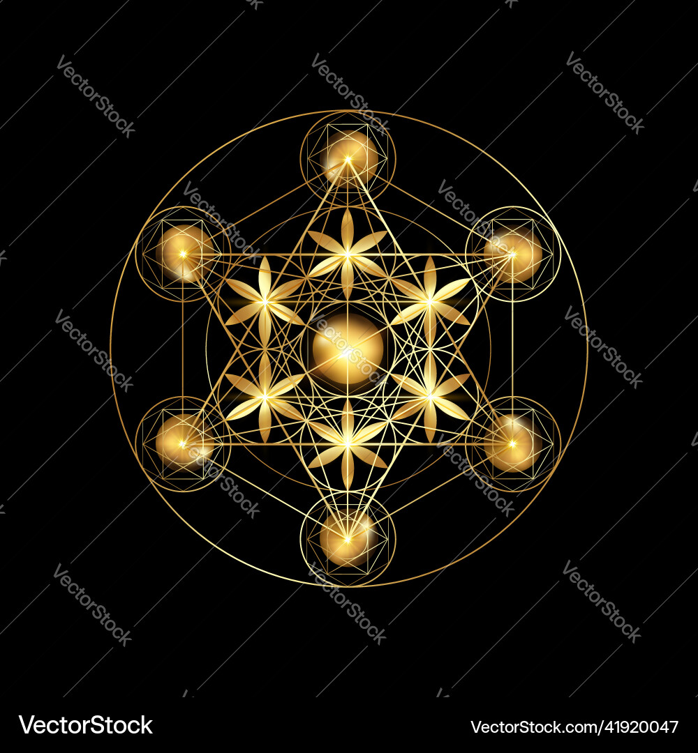 Metatron Würfel Blume des Lebens heilige Geometrie Metatron Würfel Blume des Lebens heilige Geometrie vektorbild