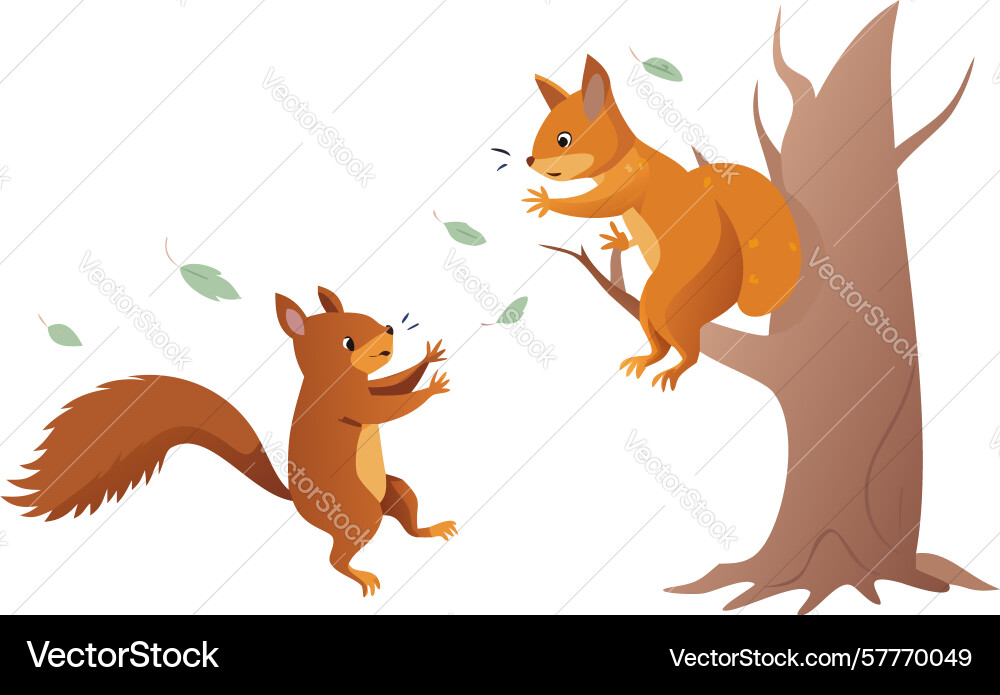 Dynamic squirrels interacting on a tree playful Vector Image