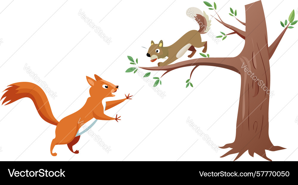 Squirrel on a tree branch passing an acorn Vector Image