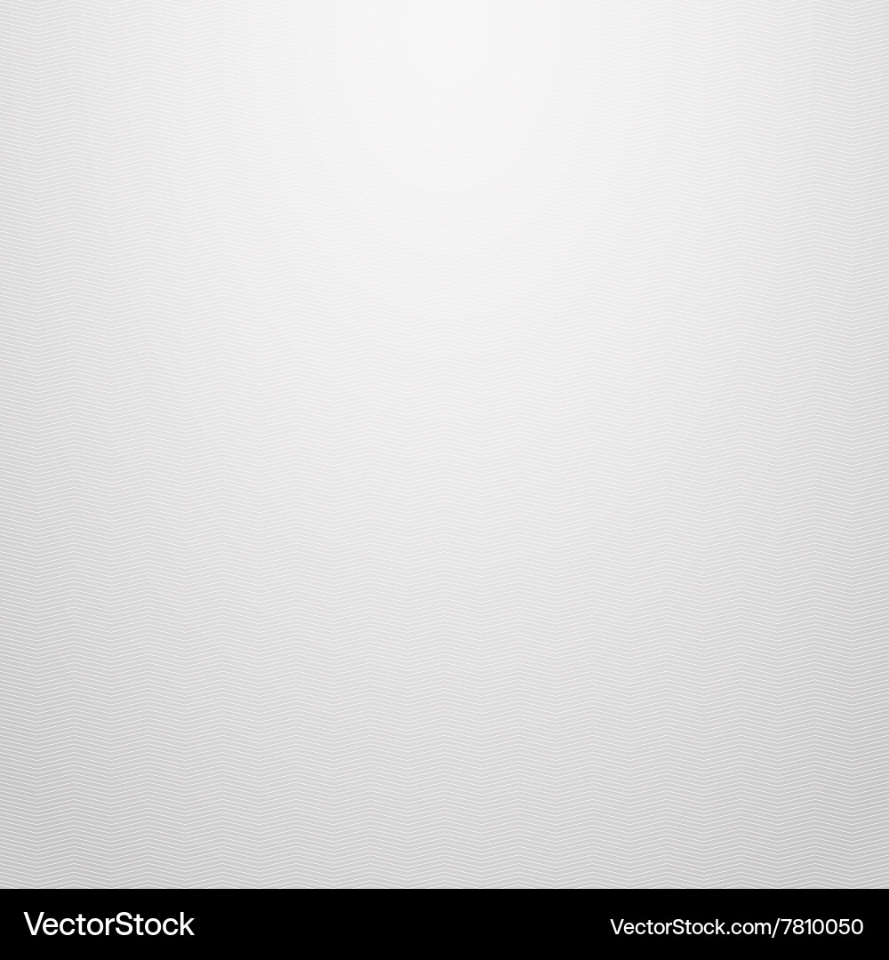 White Zigzag Pattern vector image