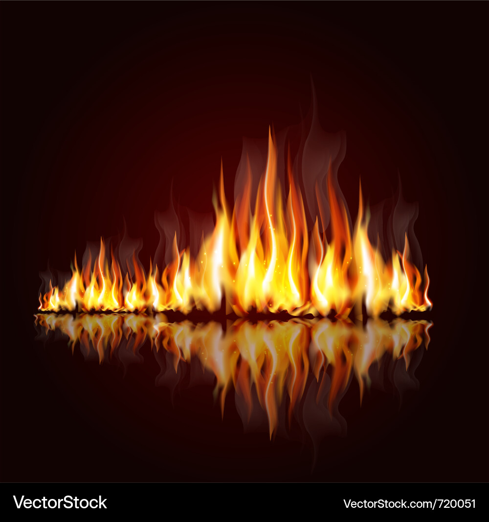 Burning flame Royalty Free Vector Image - VectorStock