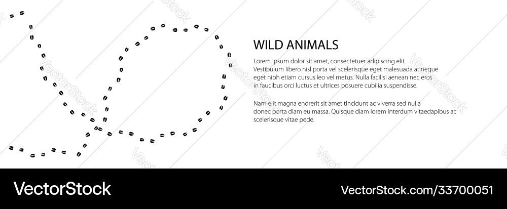 Roe Deer Footprint in Forest Vector Image