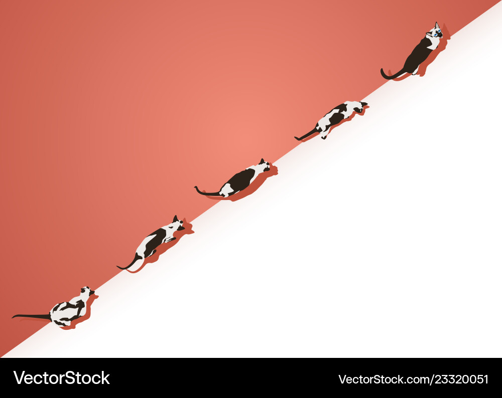 Siamese Cat Template Design Diagonale Komposit Siamese Cat Template Design Diagonale Komposit Vektorbild