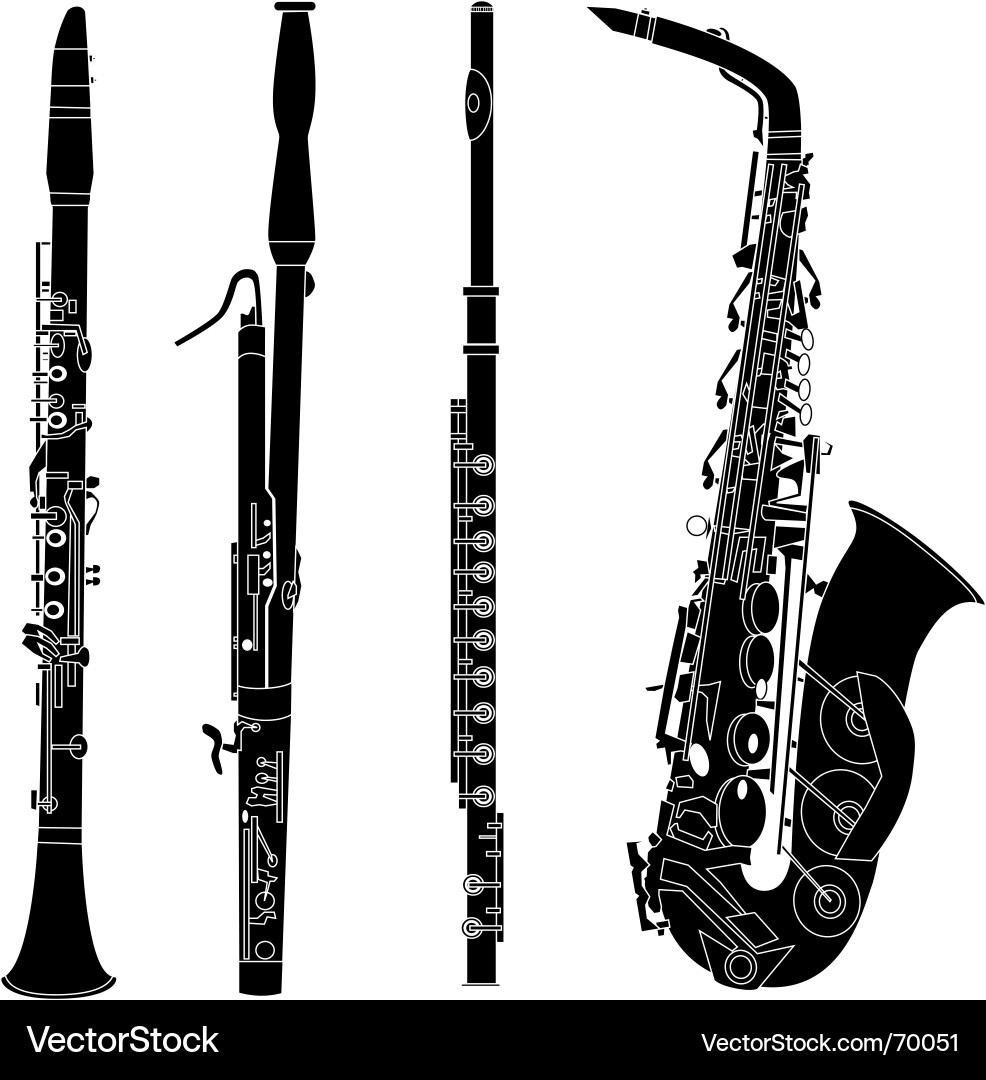 Woodwind musical instruments vector image