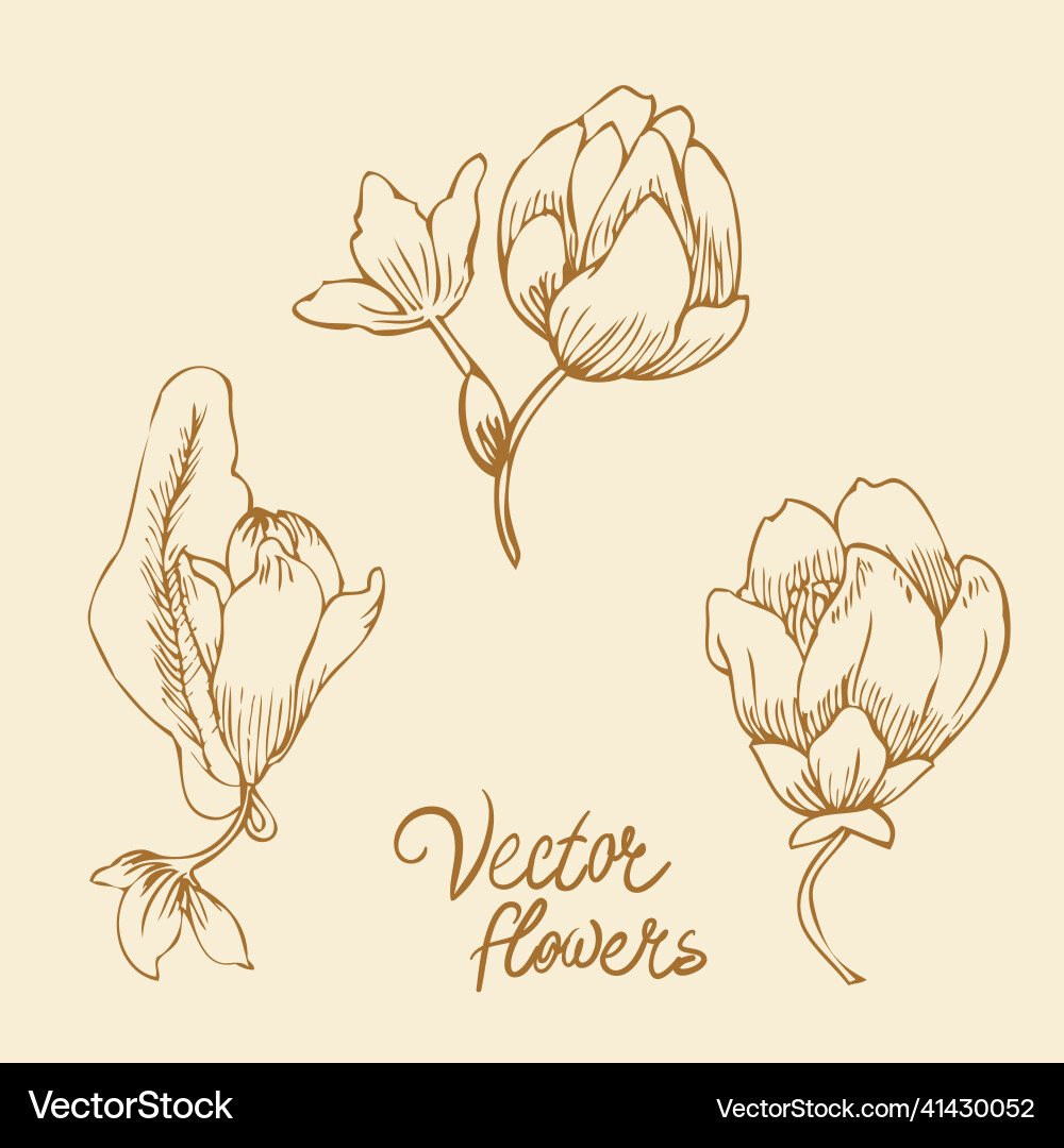 Vintage hand-drawing background with flowers Vintage hand-drawing background with flowers vector image
