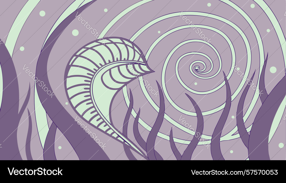 Abstract seashell spiral design element vector image