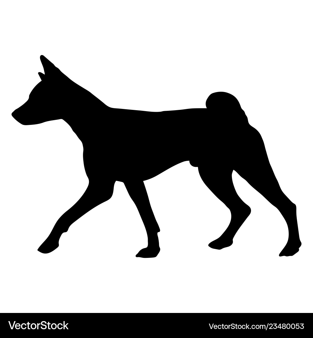Basenji Dog Silhouette Vector Image