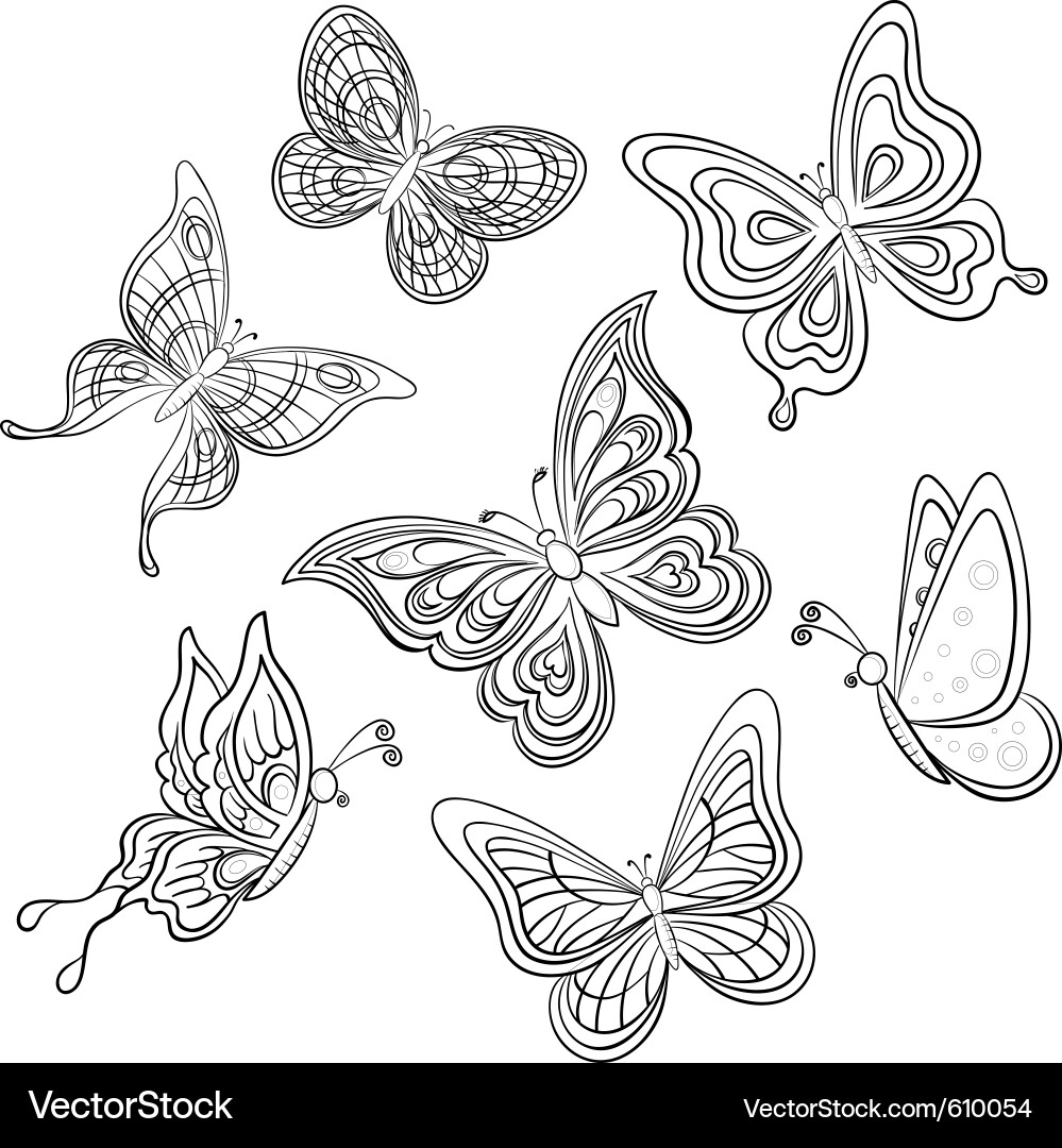 Butterfly Wing Outline Vector Image