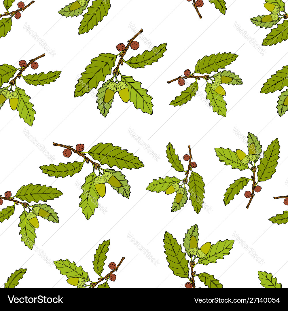 Oak Tree Branch Pattern vector image