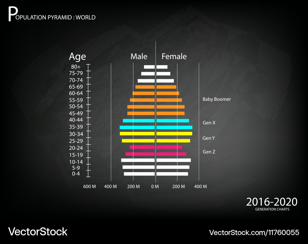 2016-2020 population pyramids graphs vector image