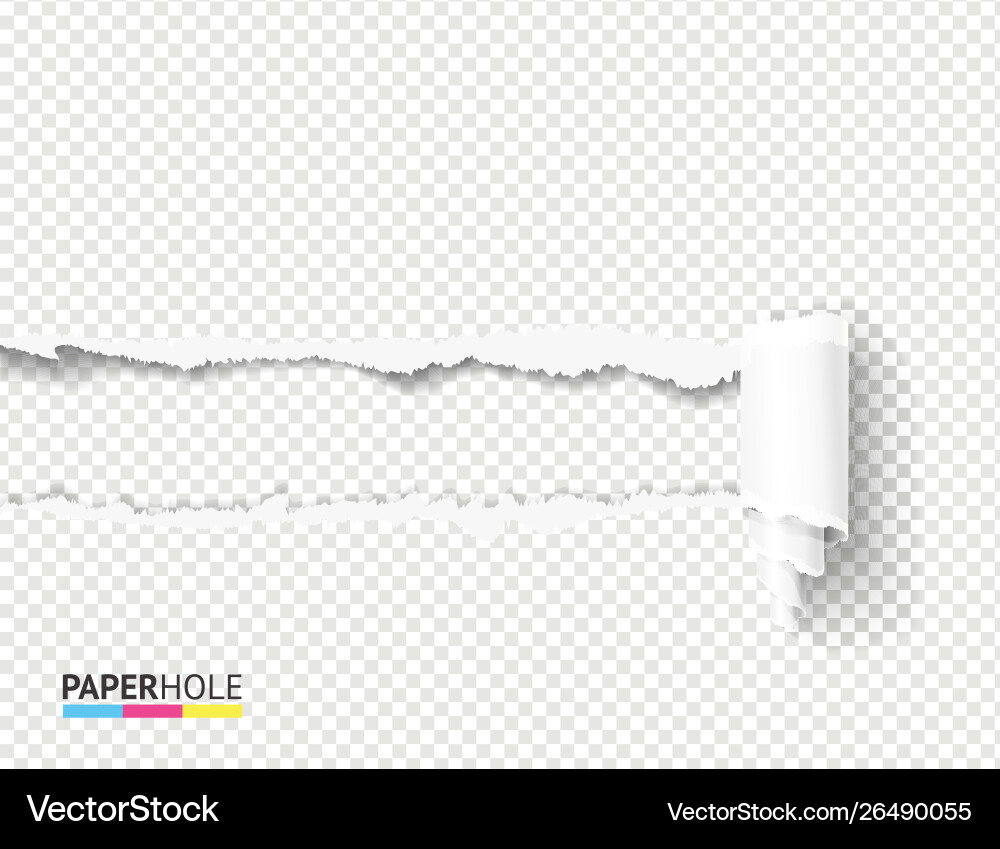 Tear Off Paper Hole with Scroll vector image