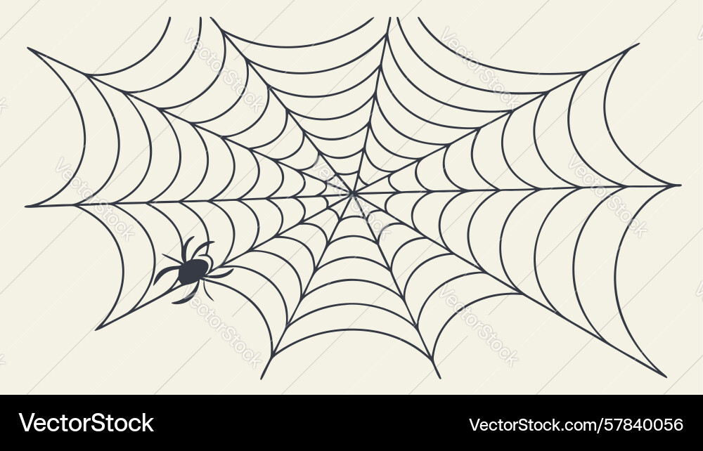 Spider web with clear outline design Vector Image