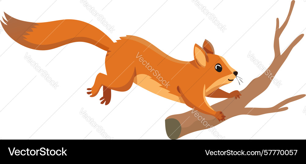 Agile squirrel jumping from a tree branch dynamic Vector Image